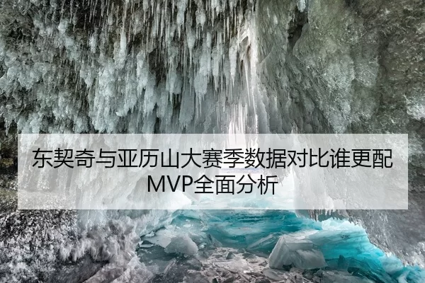 东契奇与亚历山大赛季数据对比谁更配MVP全面分析