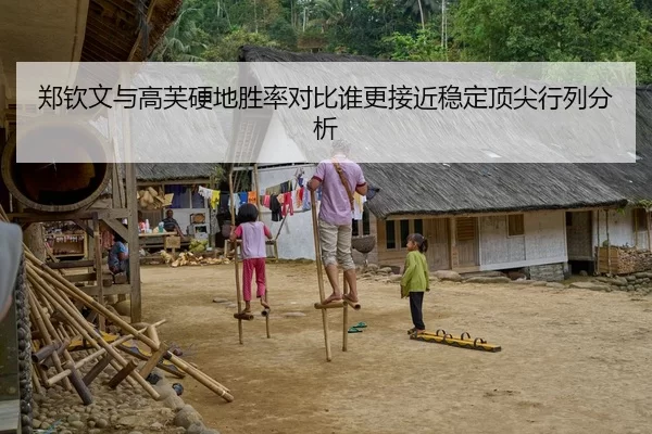 郑钦文与高芙硬地胜率对比谁更接近稳定顶尖行列分析