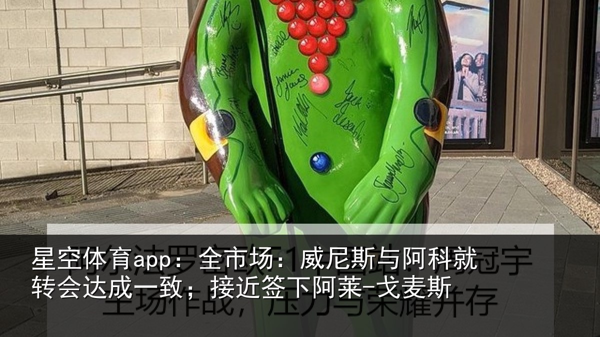星空体育app:全市相关情况转会相关情况阿莱-戈麦斯