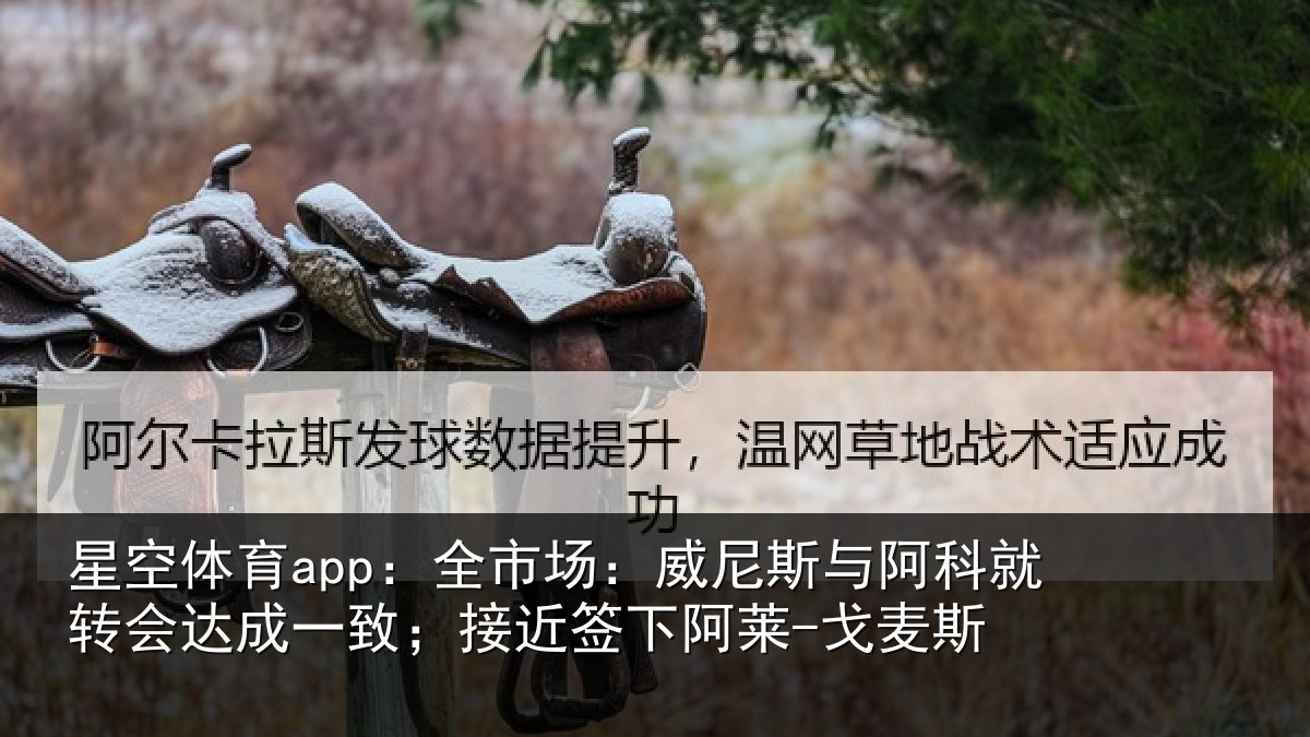 星空体育app:全市场:威尼斯与阿科就转会达成一致;接近签下阿莱-戈麦斯