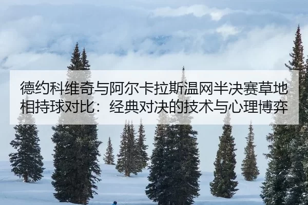 de-yue-ke-wei-qi-yu-a-er-ka-la-si-wen-wang-ban-jue-sai-cao-di-xiang-chi-qiu-dui-bi-jing-dian-dui-jue-de-ji-shu-yu-xin-2-341.jpg