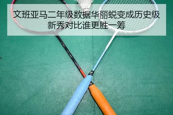 文班亚马二年级数据华丽蜕变成历史级新秀对比谁更胜一筹